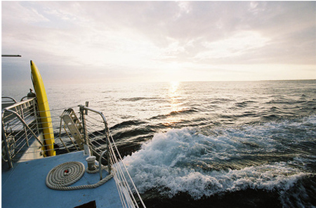 Picture 83